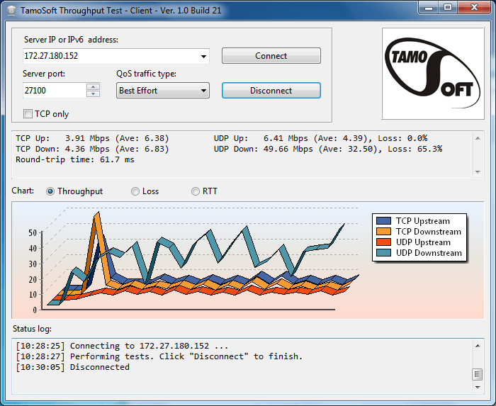 TamoSoft Throughput Test